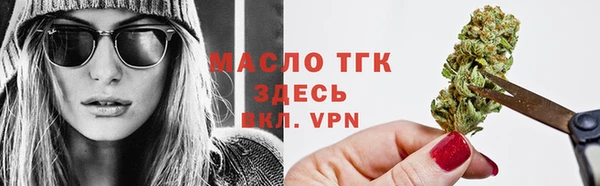 mdpv Бородино