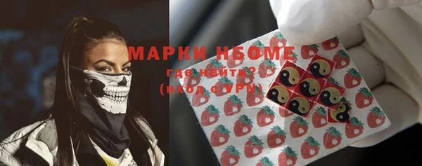 mdpv Бородино