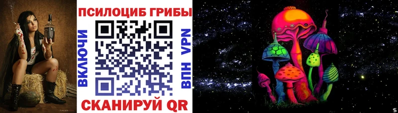 Псилоцибиновые грибы Cubensis Приозерск