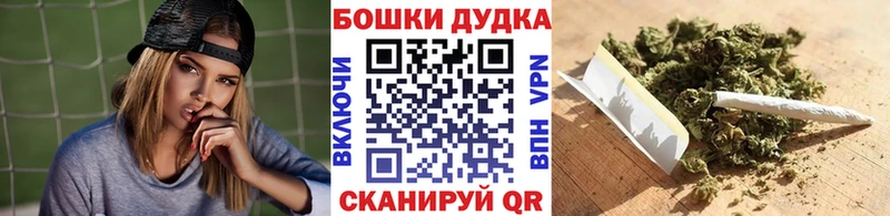 Купить закладки Приозерск Шишки марихуана Ganja